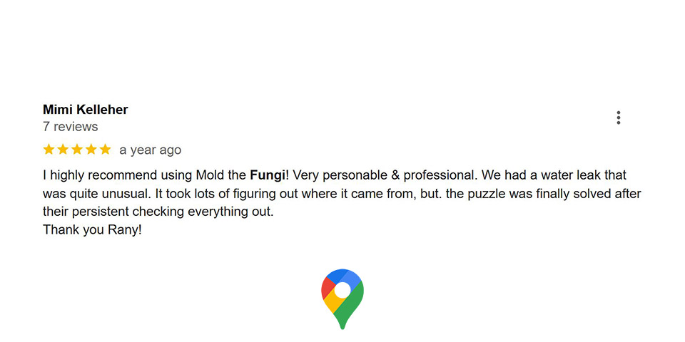 review-1