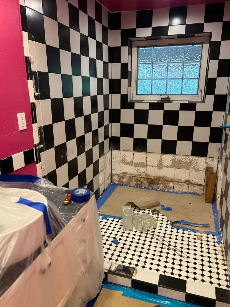Water Damage Mold Remediation in Phoenix Bathroom — bathroom demolition