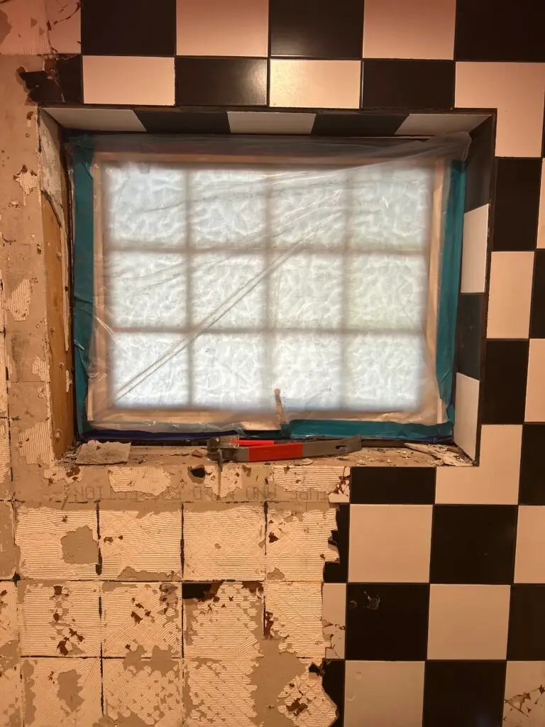 Water Damage Mold Remediation in Phoenix Bathroom — phoenix az