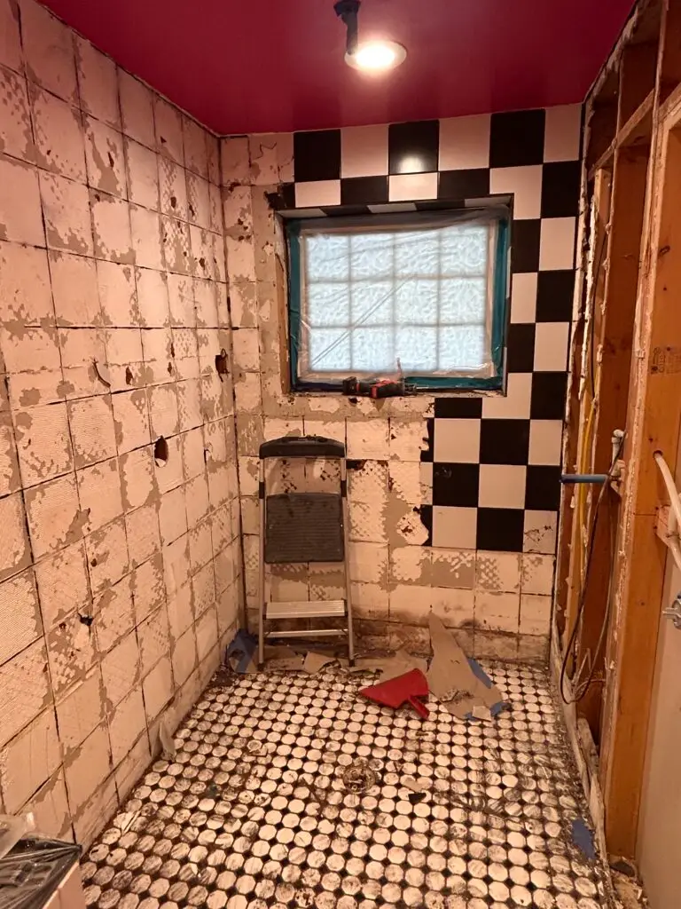 Water Damage Mold Remediation in Phoenix Bathroom — phoenix handyman