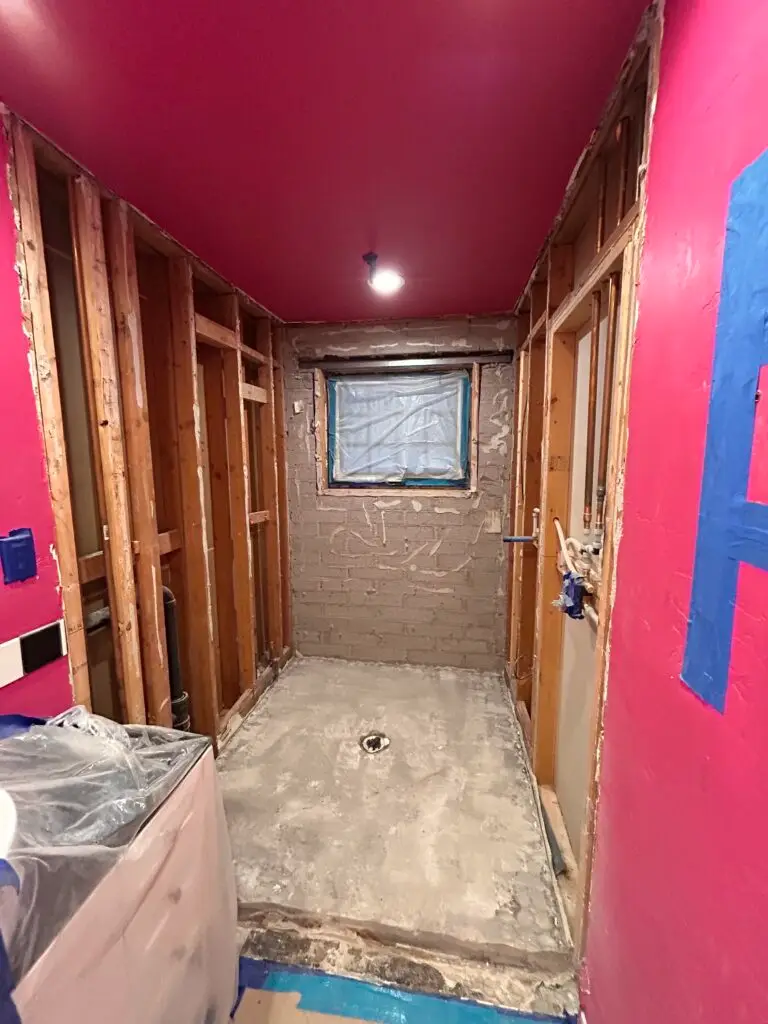 Water Damage Mold Remediation in Phoenix Bathroom — water damage guest bathroom